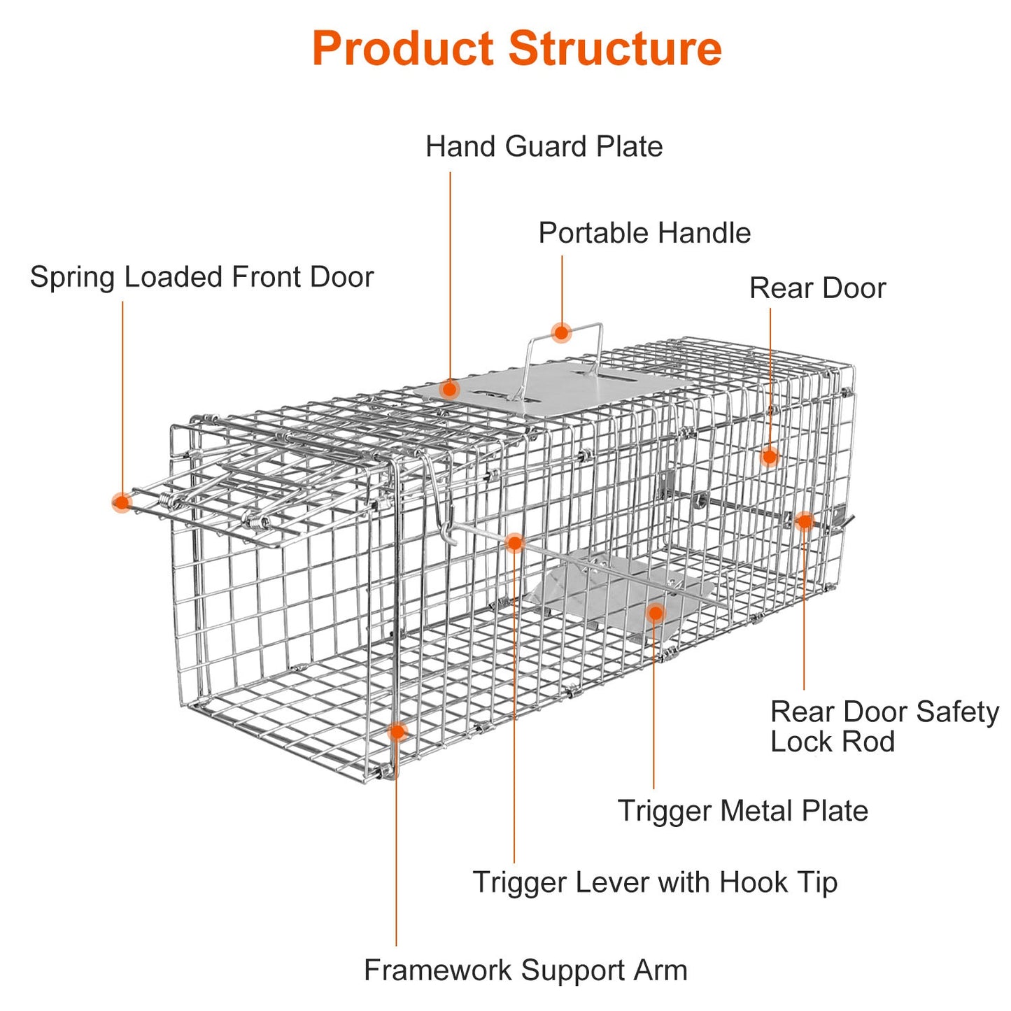 Humane Live Animal Trap Cage - Collapsible Wire for Small Animals