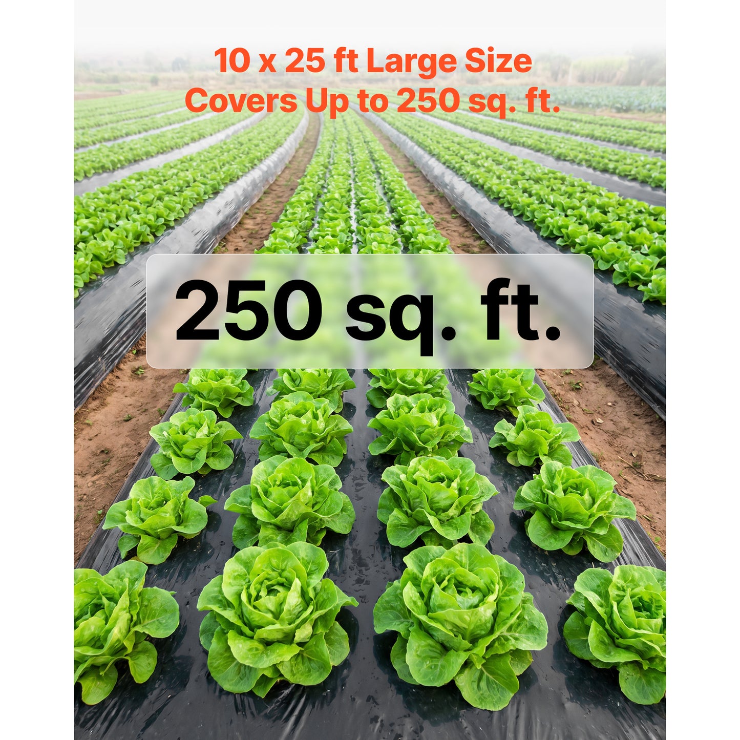 Heavy Duty Black Plastic Sheeting 10x25 ft - Garden, Drop Cloth, Vapor Barrier