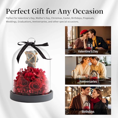 SEEROSE Preserved Rose with Cupid Bear in Glass Dome, Eternal Real Rose Romantic Gift for Her, Women, Mom, Wife, Girlfriend, Valentine¡¯s Day, Mother¡¯s Day, Christmas, Birthday (Cupid Bear, Red)