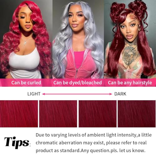 99j Burgundy 13x6 HD Lace Front Wigs Human Hair 22inch Straight Human Hair Wigs HD Lace Frontal Wigs for Black Women 250% Density Glueless Wigs Human Hair Pre Plucked Pre Cut With Baby Hair