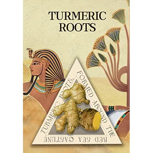 Castor Oil Scalp Rejuvenating Shampoo Deeply Cleanse Scalp Reduce Hair Loss Active Substance of Natural Keratin Repairs Hair Barrier Strengthens the Roots and Strands