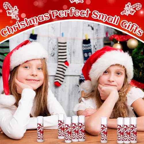 25 Pack Christmas Lip Balms Bulk Christmas Candy Peppermint Cane Scented Holiday Flavor Lip Balm Gifts Xmas Party Gifts Bulk Xmas Items Stocking Stuffers for Women Men Staff Employee (Lollipop 1)