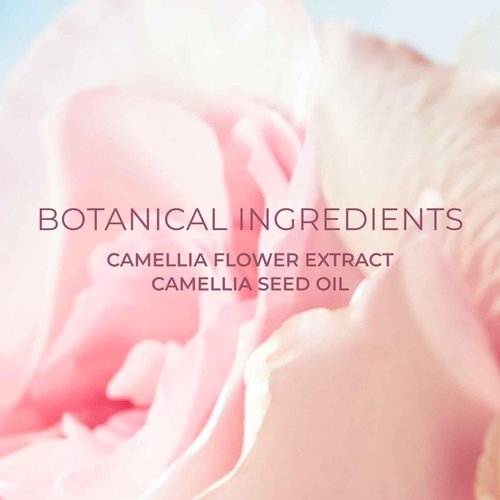 FEMMUE Ideal Creme Riche Face Moisturizer Cream (1.58 oz) | With Camellia Seed Oil to Nourish Dry, Damaged Skin | Korean Skincare