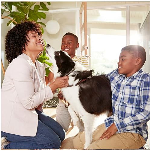 Filtrete 20x20x1 AC Furnace Air Filter, MERV 11, MPR 1000, Micro Allergen Defense, 3-Month Pleated 1-Inch Electrostatic Air Cleaning Filter, 2 Pack (Actual Size 19.719 x 19.719 x 0.84 in)