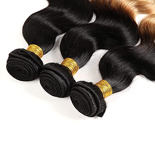 Honey Blonde Body Wave Bundles Human Hair T1B/27 Ombre Bundles Double Weft Brazilian Human Hair Sew-In Weave Extensions 26 28 30 Inch£¨Black Ombre Honey Blonde£©