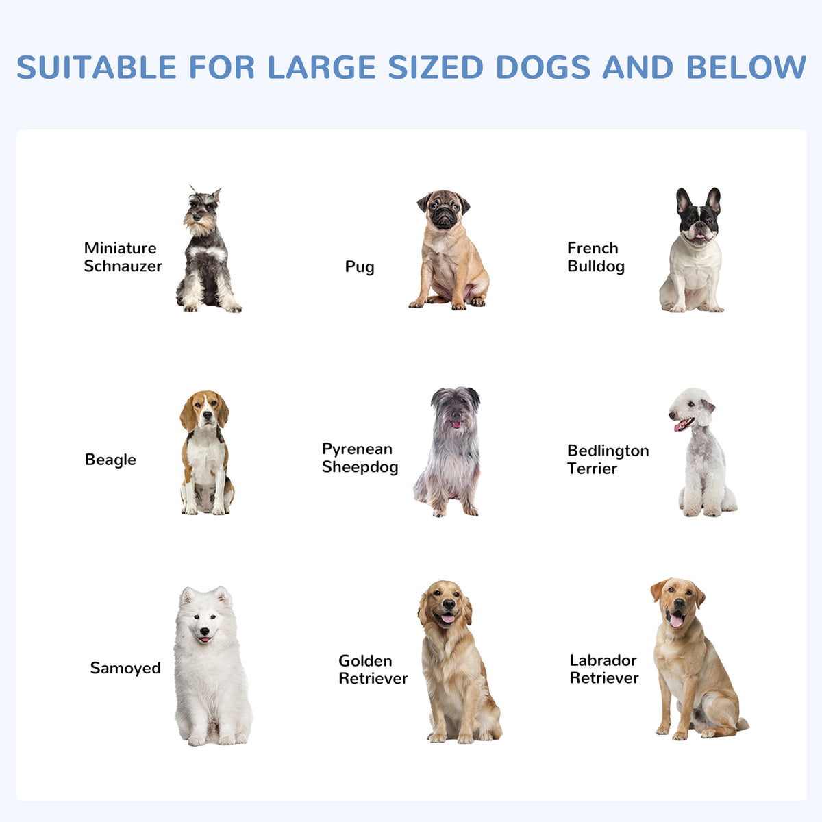 Large Outdoor Dog Kennel with Galvanized Steel Fence and Cover - Heavy Duty, Rainproof, Lockable Door, 9.8 x 9.8 x 7.7 ft