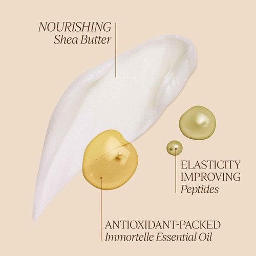 L'OCCITANE Immortelle Shea Neck Cream 1.70 oz