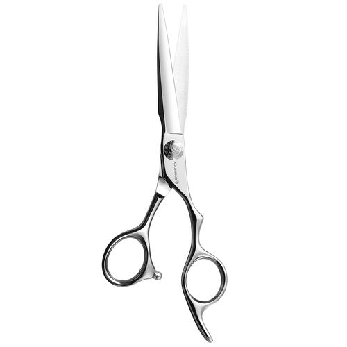 AOLANDUO Hair Cutting Shears - Japanese Stainless Steel, Convex Edge, Ergonomic, Includes Case - 1 Count, 6 in