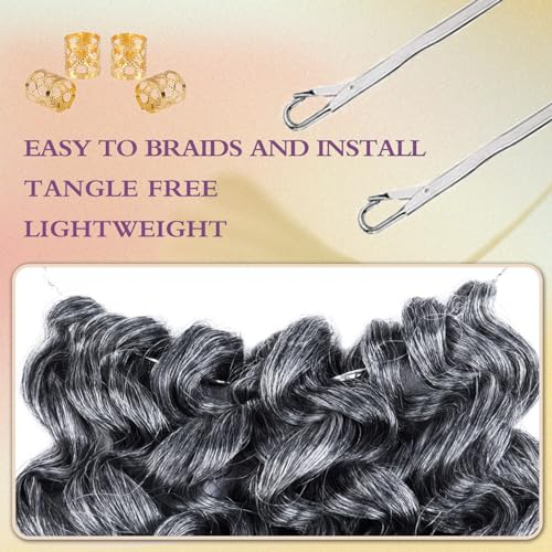 Silke Grey Curly Gogo Curl Ocean Wave Crochet Braids Hair 6 Pack Water Wave Hair Extensions For Women(10inch,Tgrey)
