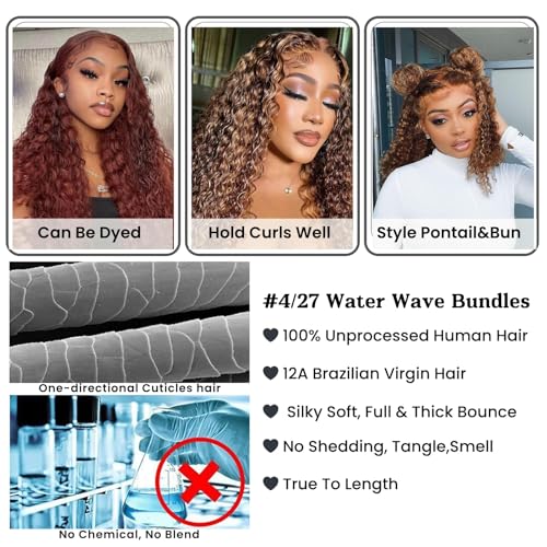 ALHER Water Wave Ombre Human Hair 4x4 Closure, 12A Honey Brown Highlight P4/27 Piano Color Wet and Wavy 100% Virgin Remy Human Hair Pre Plucked with Baby Hair Free Part Melt 4x4 Lace Closure 10 Inch