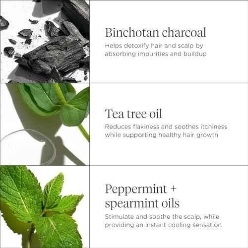 Briogeo Scalp Revival Charcoal + Tea Tree Scalp Treatment, Scalp Serum to Soothe a Dry, Flaky, Itchy Scalp, Absorb Oil, Hydrate Dry Scalp, Clarify Build Up, Vegan, Cruelty-Free, 1 fl oz