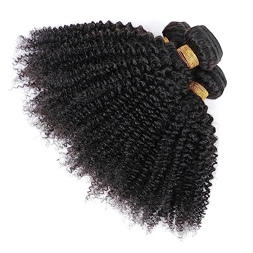 Afro Kinky Curly Hair Extensions 12 14 16 Inch Unprocessed Virgin 100% Human Hair Bundles for Black Women