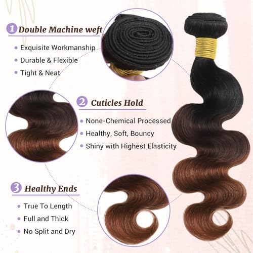 T1B/2/30 Chestnut Brown Ombre Human Hair Bundles Body Wave 100% Real Virgin Human Hair Bundles 10 12 14 Inch Dark Roots Bundle 3 Tone Ombre Medium Auburn Colored Sew in Quick Weaves
