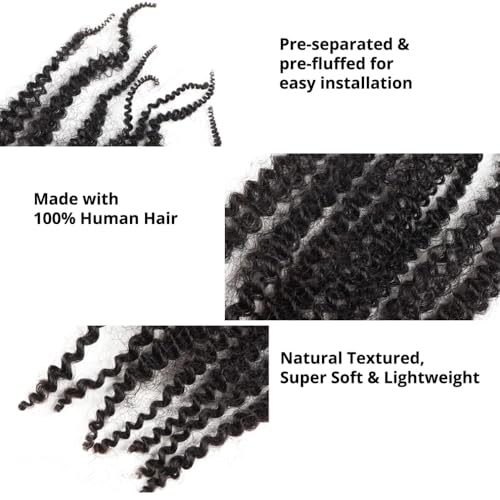 Afro Kinky Curly Braiding Hair for Dreadlocks, Loc Repair, Twists, Dreadlock Human Hair Bulk Pre-Separated Spring Afro Twist Human Hair Extensions 22Inch 100g