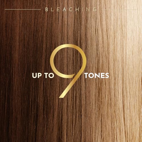 Hair Bleach, Bleach Powder for Hair, Professional Grade Blue Bleaching Powder, Up to 9 Levels of Lift for Hair Highlights & Lightening (100g/3.53oz)