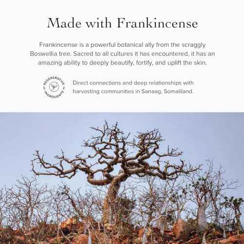 evanhealy Whipped Neroli Frankincense Body Butter | Organic Shea with Silky Plant Oils to Soften & Moisturize All Skin | For Face and Body