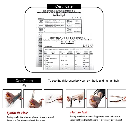 X-TRESS 1b27 Hair Bundles Body Wave 1 Bundle Ombre Honey Blonde Brazilian Hair Weave 100% Human Hair Extensions Bundles Ombre Color 27 Hair Weave(24 Inch, T1B/27)