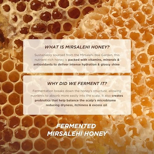 Gisou Take Me With You Spritz Set ? 3 Mini Honey Infused Hair Perfumes ? Hydration, Shine & Refreshing Floral Scent