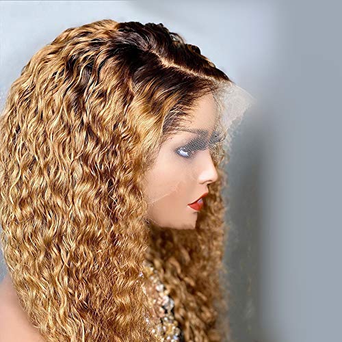 Derun Ombre Curly 13¡¿4 Lace Front Wigs Human Hair Lace Frontal Wig 1B/30 Remy Hair for Black Women (22Inch, 1b/30, 13¡¿4 Lace)