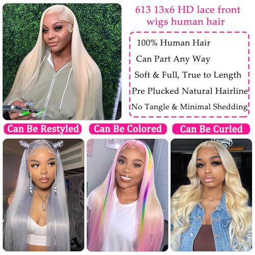 613 13x6 Lace Front Wig Human Hair 20 Inch 200 Density Straight Lace Frontal Wig Pre Plucked With Baby Hair
