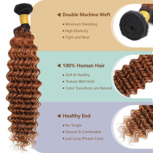 Ombre Deep Wave Human Hair 3 Bundles With 4x4 Lace Closure 1B/30 Brown Curly Bundles with Closure Unprocessed Brazilian Virgin Human Hair Extensions For Women (T1B/30,14 16 18+12)