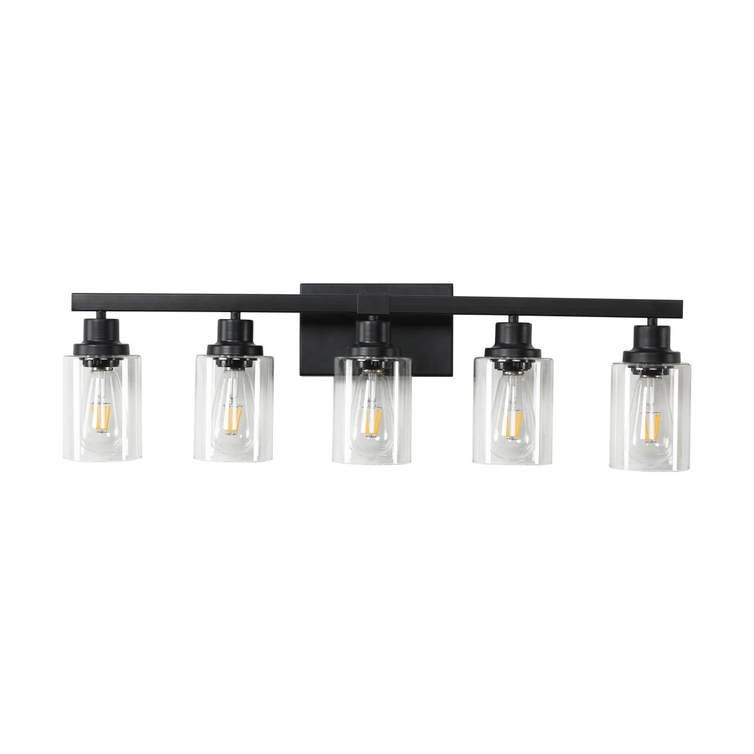 5-Light Black Bathroom Vanity Light Fixture with Glass Shades