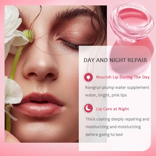 Bee Lip Balm Honey Pot, Fruit Moisturizing Propolis Lip Mask, Lip Mask Overnight Propolis Moisturizing Lip Balm Hydrating Prevention Dry and Crack Lip Scrubs Exfoliator Lip Care Products (2PCS D)