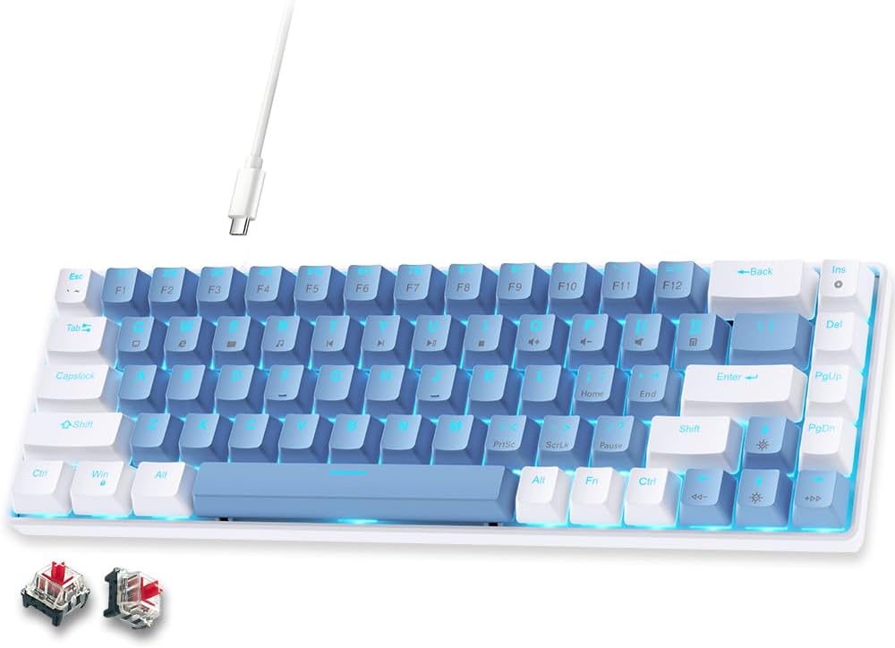 abucow 60% Mechanical Gaming Keyboard,Blue Switch Wired Compact Keyboard with Blue Backlight, Swappable Black Gray Keycaps, for Windows/Mac