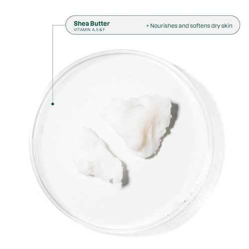 Bundle of ATTITUDE Oceanly Eye Cream Stick, EWG Verified, Plastic-free, Plant and Mineral-Based Ingredients, Vegan, PHYTO CALM, Unscented, 0.3 O + Face Cream Stick, PHYTO CALM, Unscented, 1 Oz