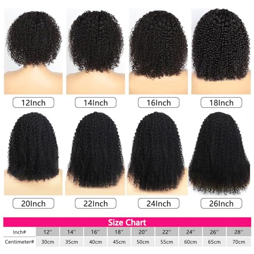 Aiterina Kinky Curly Human Hair Wig - 16 inch Natural Color, No Gel Remy Hair, Lace Front, Machine Made, Curly Scarf Wig for Black Women