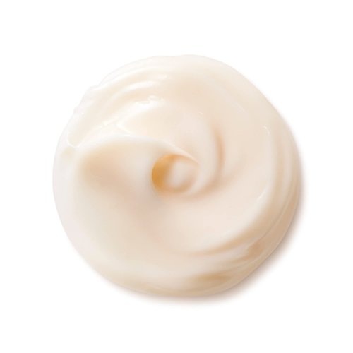Shiseido Benefiance Nutriperfect Day Cream 1.8oz