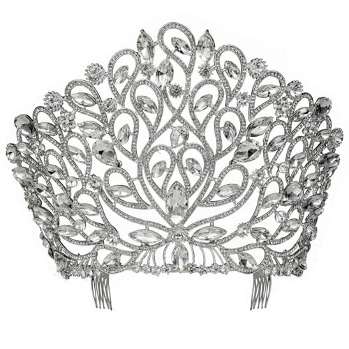 Fancy Beauty Queen Crystal Rhinestone Tiara Crown With Hair Combs Wedding Bridal Beauty Contest Prom Pageant Silver Plated T994