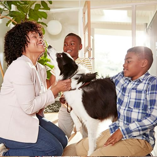 Filtrete 8x30x1 AC Furnace Air Filter, MERV 8, MPR 700, Tough on Pollen, Easy on Airflow, 3-Month Pleated 1-Inch Electrostatic Air Cleaning Filter, 4-Pack (Actual Size 7.69 x 29.69 x 0.81 in)