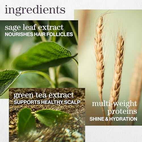 Pureology Hydrate Conditioner - For Dry or Color Treated Hair, Nourishing Conditioner to Restore Moisture and Seal in Hydration, Vegan