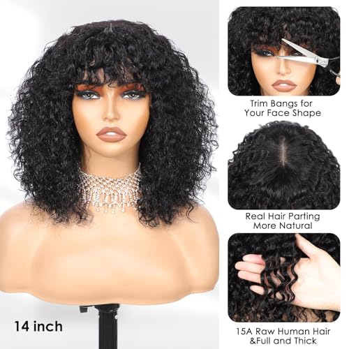 15A Raw Human Hair Wig with Bangs 4x2 Lace Short Water Wave Curly Glueless Wigs Layered Bob Wig Human Hair 180% Density Ready to Wear Wigs Glueless Human Hair for Women (14 Inch 1B Black)