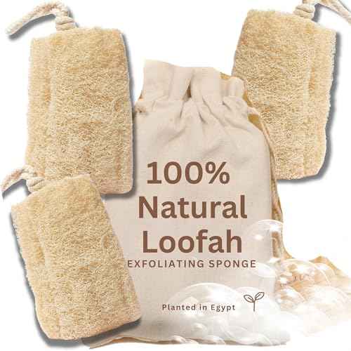 All Natural Loofah Sponge, Pack of 3 Real Egyptian Bath & Shower Exfoliating Loofa Scrubber Sponges for Face, Back & Body, Eco Friendly, No Toxic Chemicals, 6" x 6" by Crafts of Egypt