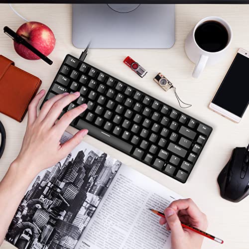 60% Mechanical Gaming Keyboard,Hot Swappable Compact 82 Keys Wired Mechanical Keyboard with White LED Backlit,Detachable Type-C Cable,Ergonomic Design,for Windows PC Gamers(Blue Switch,Black)