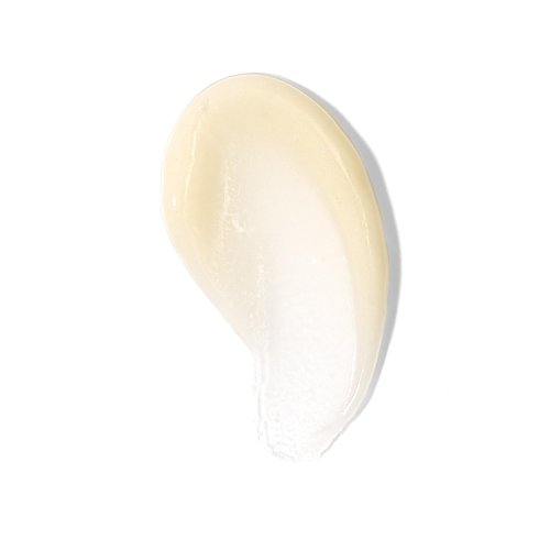 TiZO Photoceutical AM Rejuvenation | Repair with Peptides | Niacinamide | Powerful Antioxidants (Vitamins C & E) - 1 fluid Ounce (Pack of 1)