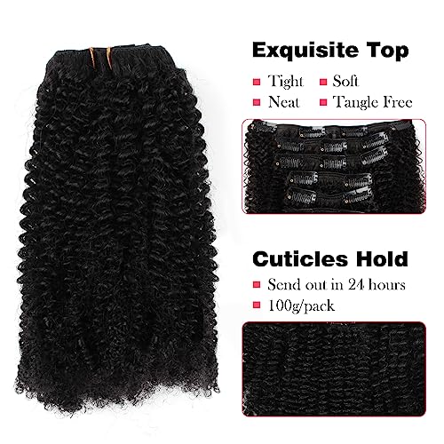 Sassina Remi Human Hair Afro Coily Clip in Extensions 4B 4C Double Wefts For Black Women Natural Color Clip in Hair Extensions 7Pcs per Set With 17 Clips 20 Inch 120 Grams