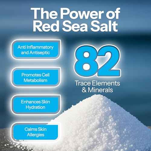 H2Ocean Body Piercing Foam Soap - Organic Sea Salt Aftercare with Aloe Vera, Alcohol-Free, Unscented, Vegan & Gentle Cleansing Tattoo and Piercing Soap for Healing & Moisturizing - 1.7oz