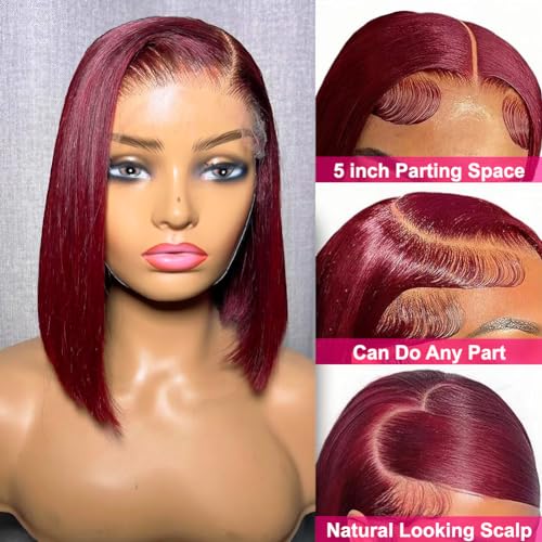 Flady 99j Burgundy Bob Wig Human Hair 13x4 Bob Lace Front Wigs Human Hair Pre Plucked 150% Densiy HD Transparent Lace Frontal Wigs Human Hair for Women Glueless Short Bob Wigs 10 inch