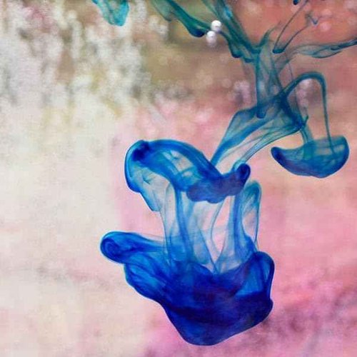 Shwally Tallow & Methylene Blue Anti-Aging Face Moisturizer – With Vitamin C, CoQ10 & Squalane – Minimizes wrinkles & Improves Collagen Production (2 Oz, Not Scented)