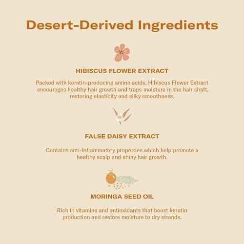 dae Signature Duo & Brush Set (Shampooo + Conditioner + Brush)