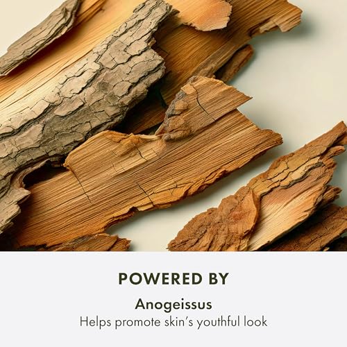 Origins Plantscription Anti-Aging Power Night Cream | Visibly Reduces Fine Lines and Visibly Lifts Skin, 1.7 Fl Oz