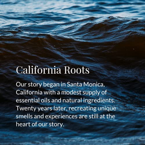 Archipelago Botanicals Botanico de Havana Diffuser, Includes Fragrance Oil, Decorative Wooden Cap and 10 Diffuser Reeds, Perfect for Home D?cor (7.85 fl oz)