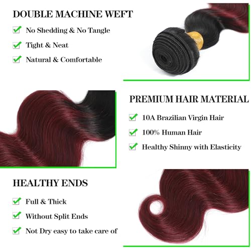 Kapelli Hair Ombre Human Hair Bundles With Closure (12 14 16+12) 100% Brazilian Virgin Human Hair Body Wave Bundles with Closure 2 Tone Black to Burgundy Human Hair Weave