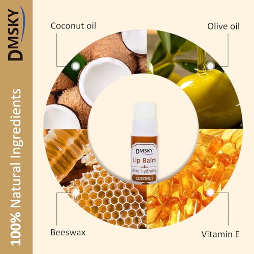 DMSKY 240 Pack Lip Balm, Natural Lip Balm Bulk with Vitamin E and Coconut Oil, Christmas Stocking Stuffers, Christmas Gifts for Women Girls-12 Flavors