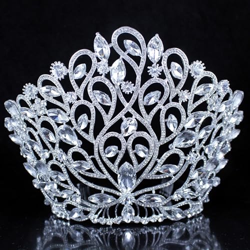 Fancy Beauty Queen Crystal Rhinestone Tiara Crown With Hair Combs Wedding Bridal Beauty Contest Prom Pageant Silver Plated T994
