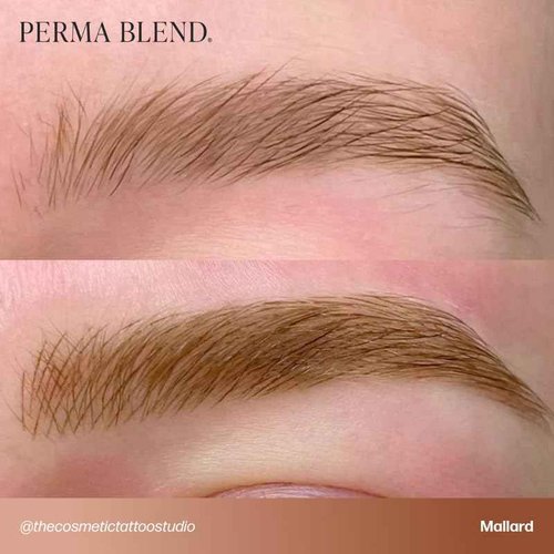 Perma Blend Cool Eyebrow Mini Set - Vegan PMU Tattoo Ink for Brows & Eyeliner - Microbalding Supplies for Permanent Makeup - Cool-Toned Pigment Kit for Cosmetic Tattoo Artists