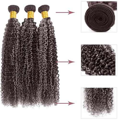 Fabimiya P4/GREY Human Hair Bundles 18 20 22 inch Jerry Curly Wave Human Hair Bundles Highlight Chocolate Grey Unprocessed Soft Sewn In Hair with Double Weft for Black Women
